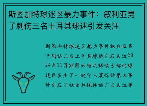 斯图加特球迷区暴力事件：叙利亚男子刺伤三名土耳其球迷引发关注