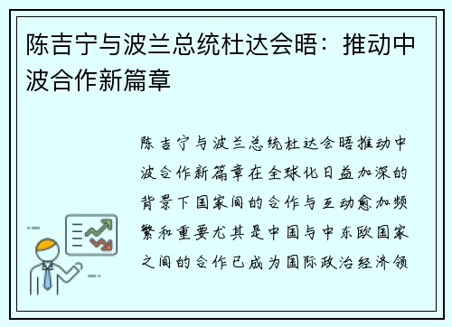 陈吉宁与波兰总统杜达会晤：推动中波合作新篇章